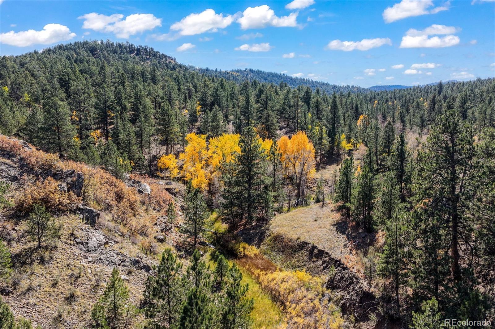 MLS Image #13 for 838  county road 260 ,westcliffe, Colorado