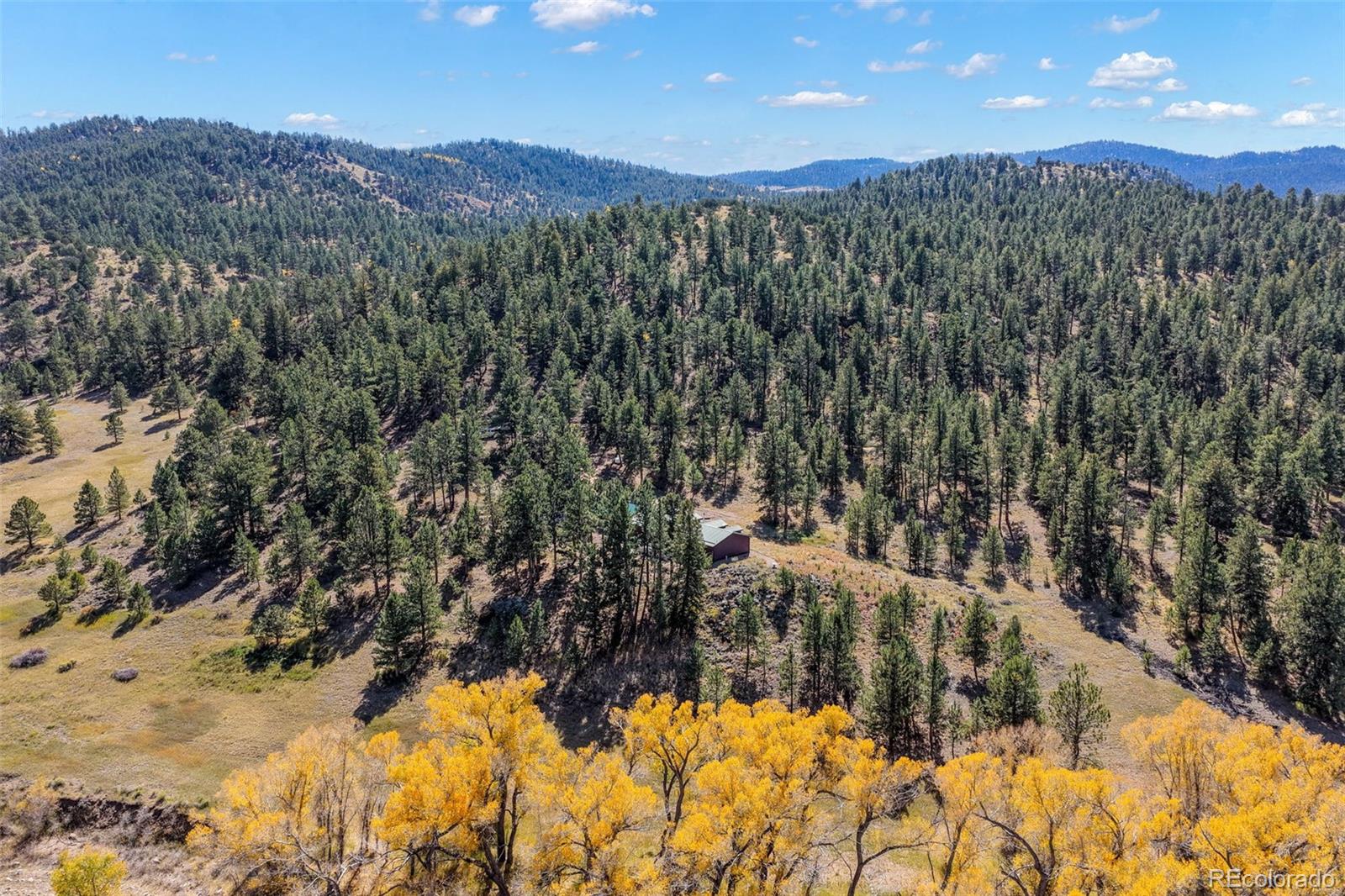 MLS Image #15 for 838  county road 260 ,westcliffe, Colorado