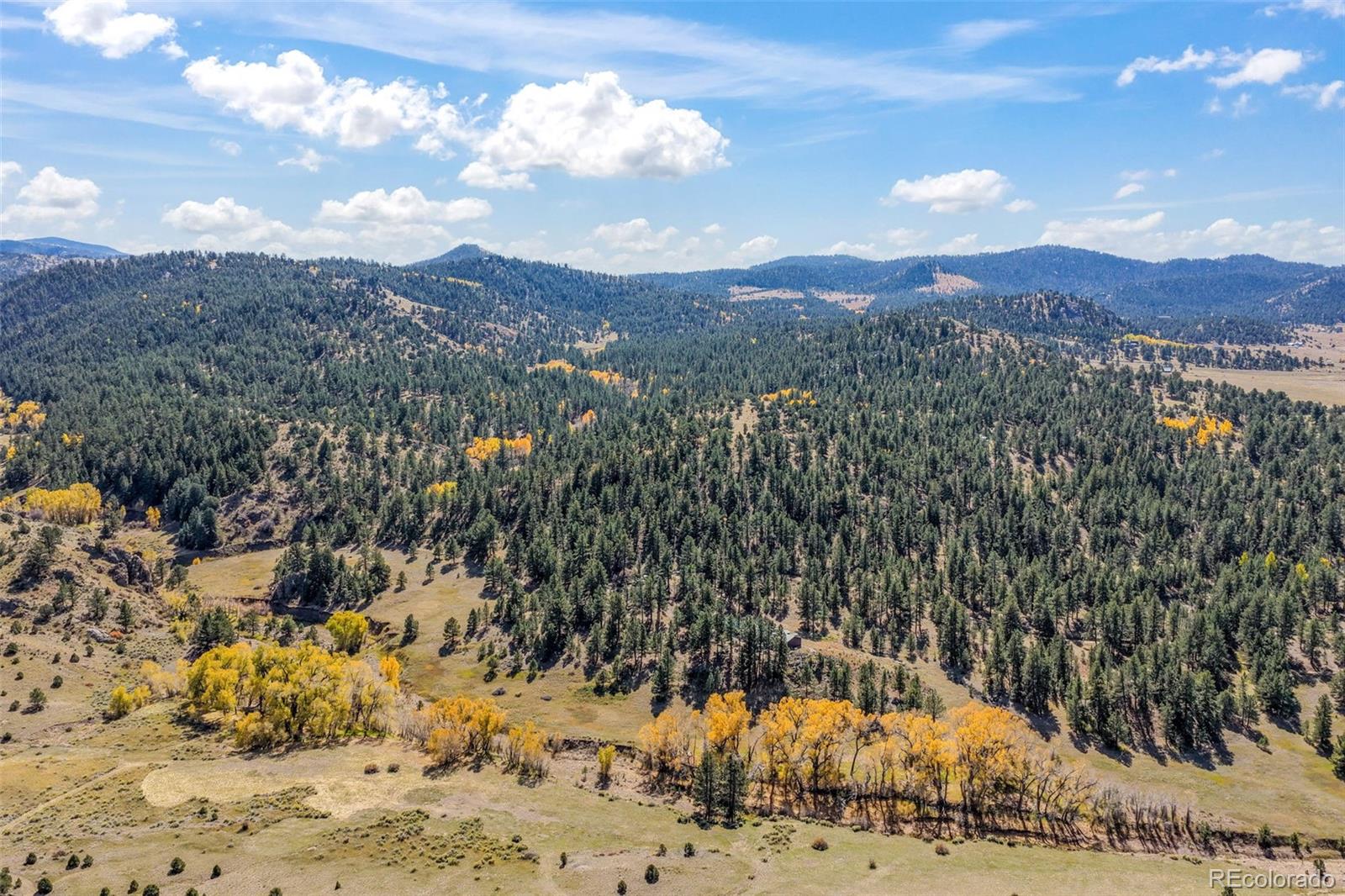 MLS Image #17 for 838  county road 260 ,westcliffe, Colorado