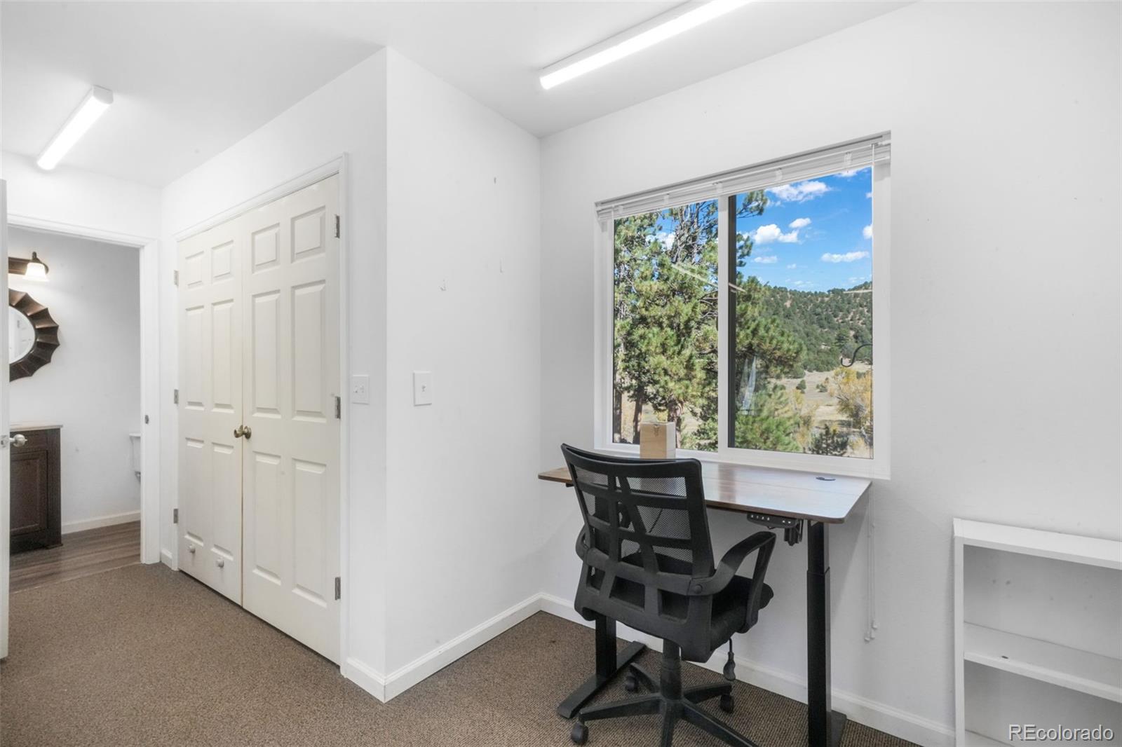 MLS Image #47 for 838  county road 260 ,westcliffe, Colorado