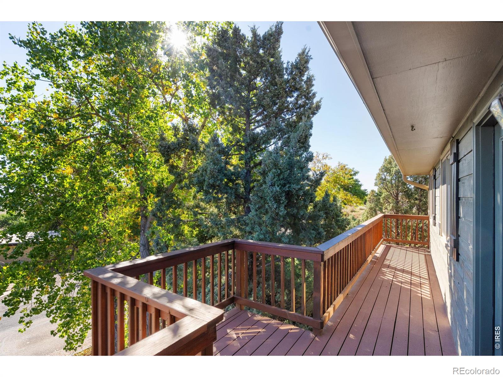 MLS Image #28 for 2301  juniper lane,loveland, Colorado