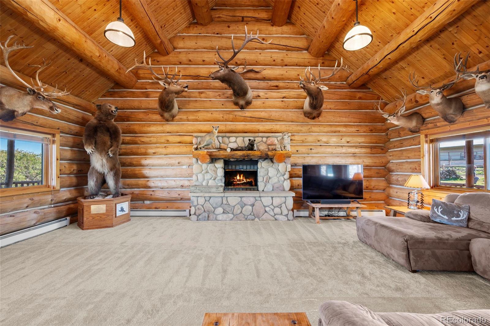MLS Image #5 for 5351  tall horse trail,sedalia, Colorado