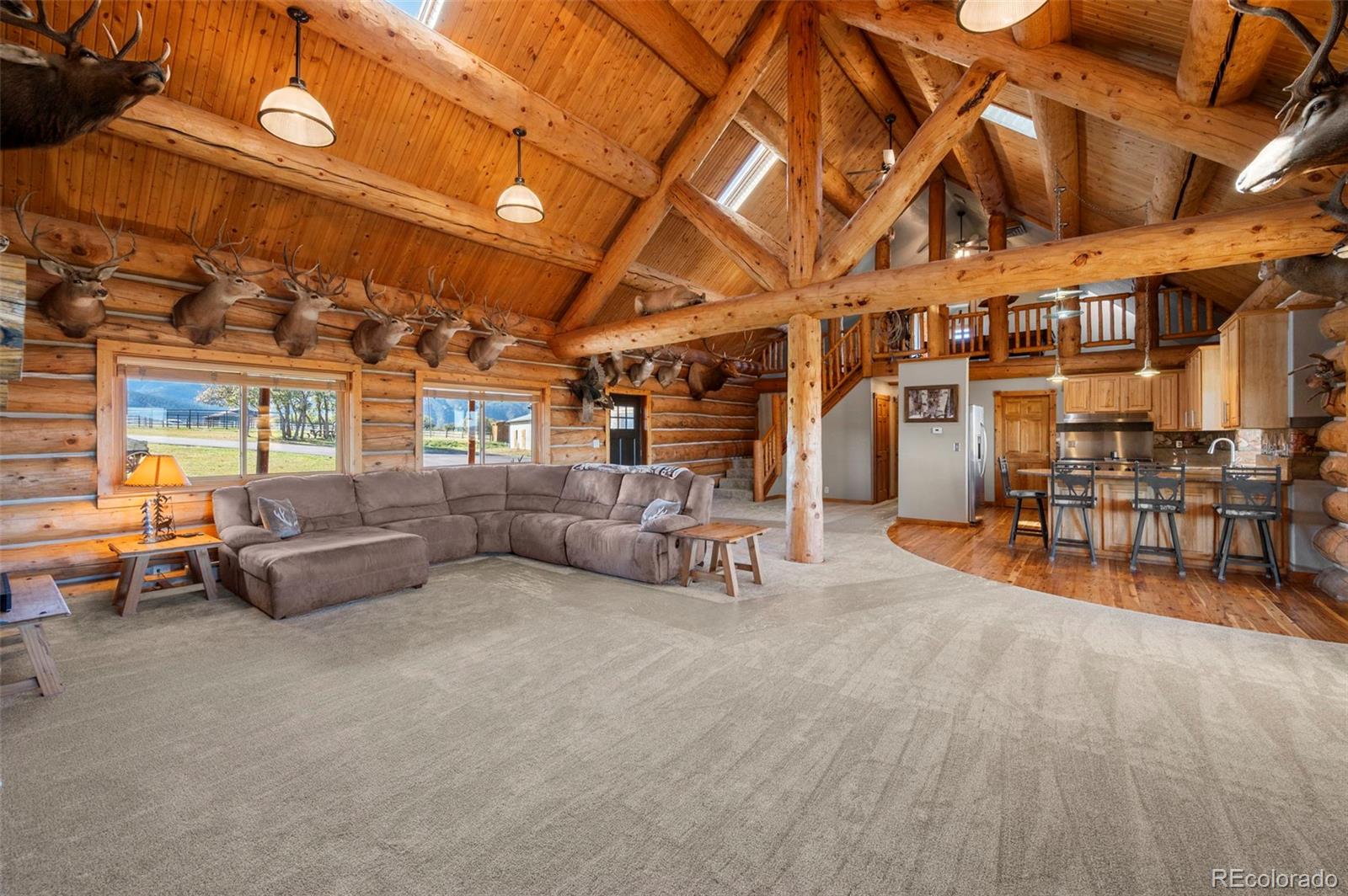 MLS Image #7 for 5351  tall horse trail,sedalia, Colorado