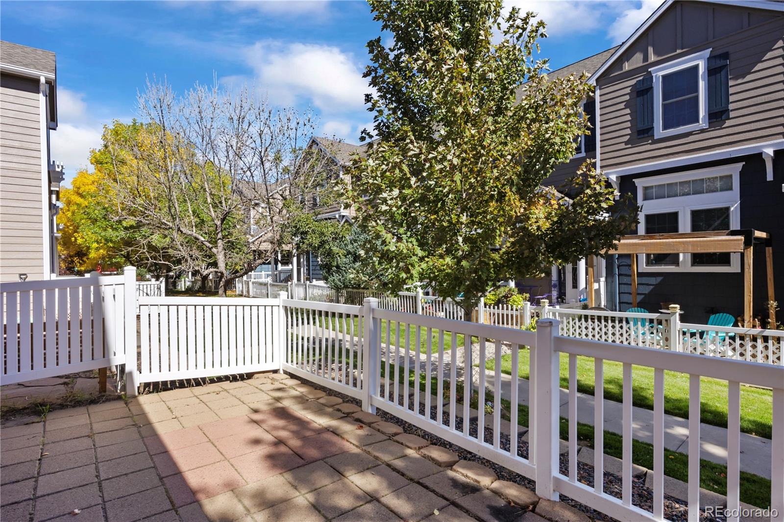 MLS Image #4 for 1480  thunder butte road,castle rock, Colorado