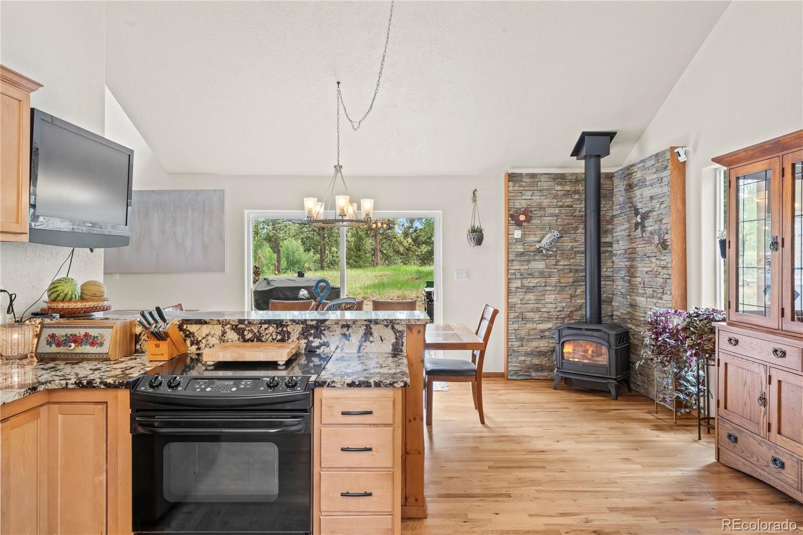MLS Image #14 for 510  banner trail,florissant, Colorado