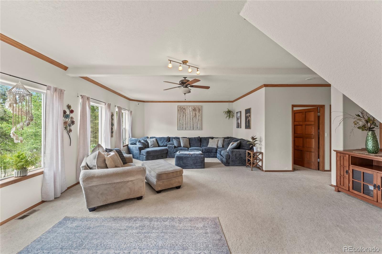 MLS Image #24 for 510  banner trail,florissant, Colorado