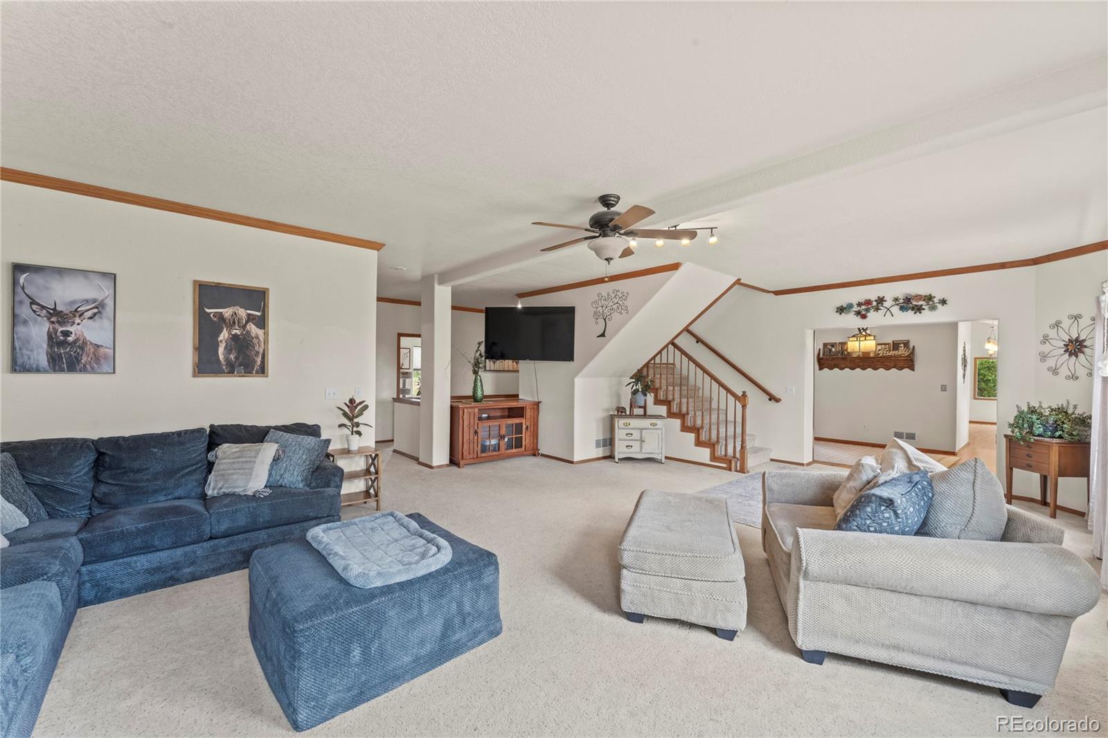 MLS Image #25 for 510  banner trail,florissant, Colorado