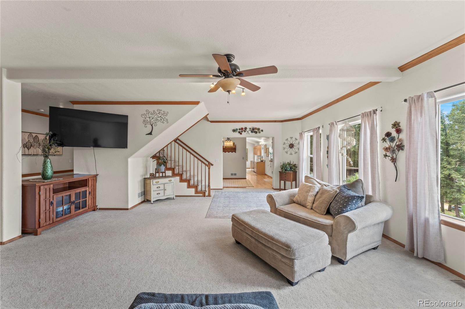 MLS Image #26 for 510  banner trail,florissant, Colorado