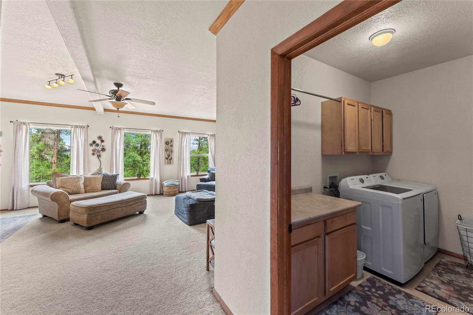 MLS Image #27 for 510  banner trail,florissant, Colorado