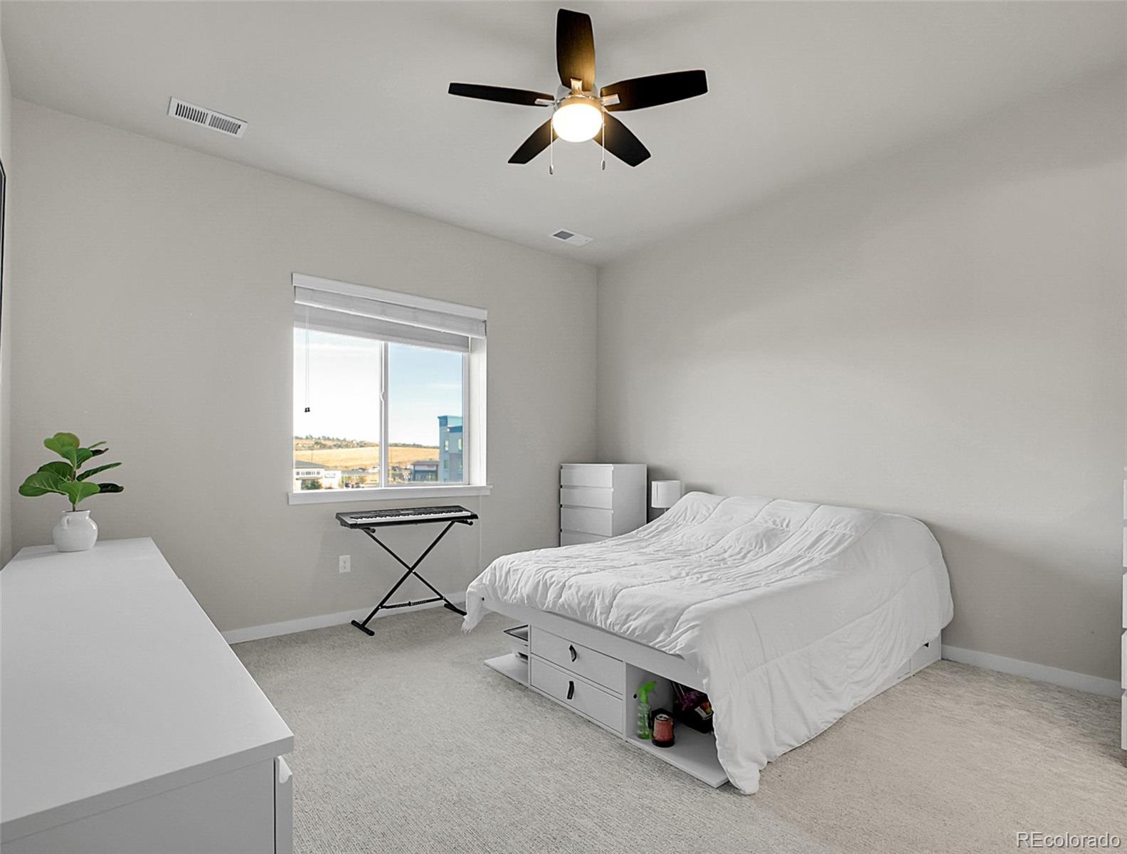 MLS Image #13 for 9287  twenty mile road,parker, Colorado