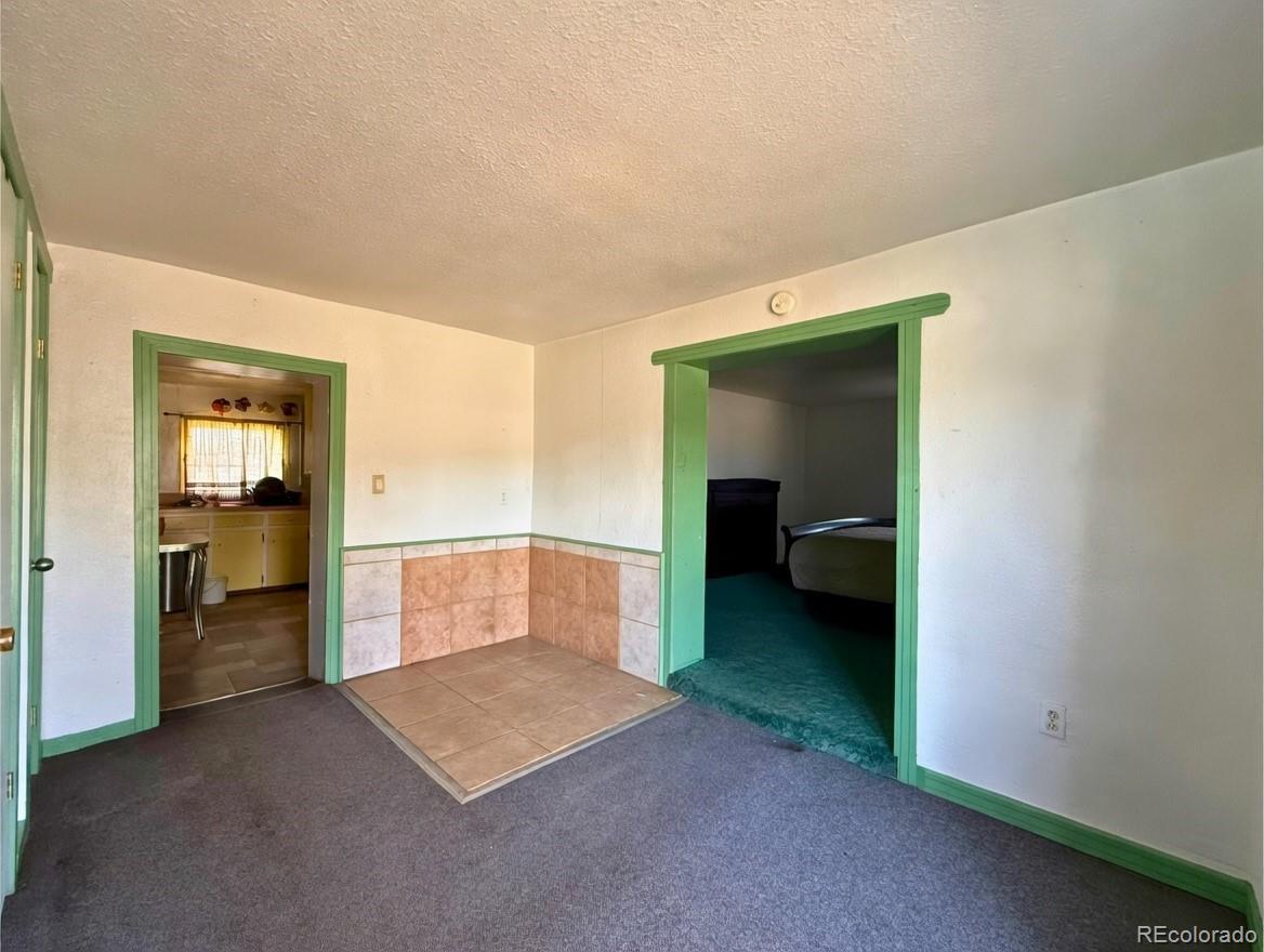 MLS Image #12 for 709  beaubien avenue,fort garland, Colorado