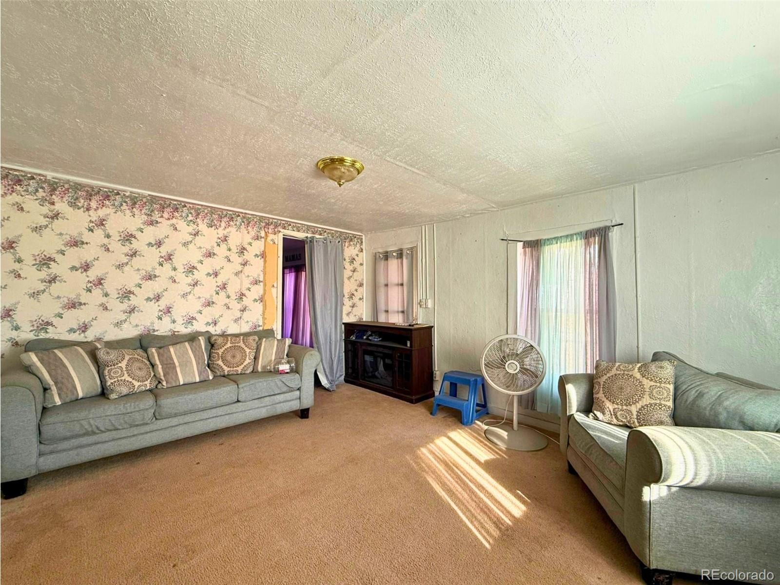 MLS Image #5 for 709  beaubien avenue,fort garland, Colorado