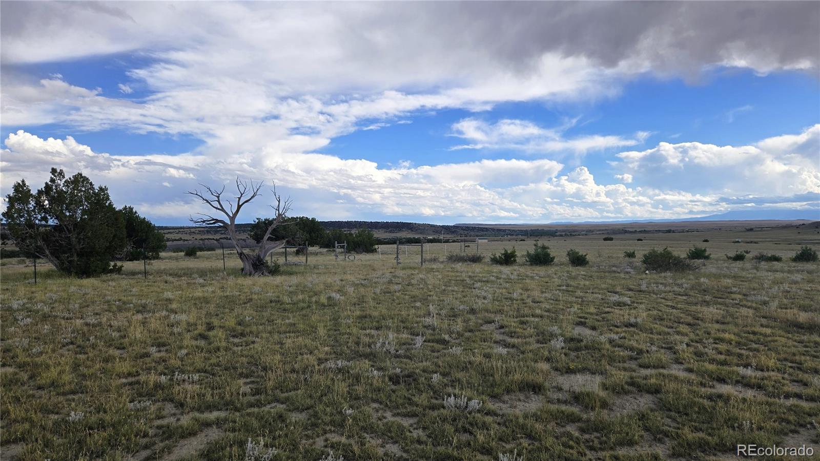MLS Image #15 for 1428  carlson road,rye, Colorado