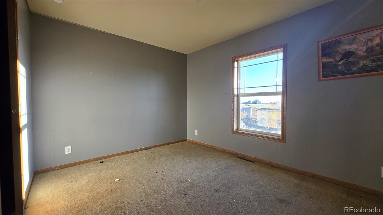 MLS Image #9 for 1428  carlson road,rye, Colorado