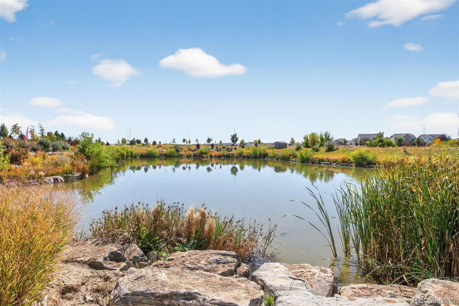 MLS Image #34 for 5136 n quemoy court,aurora, Colorado