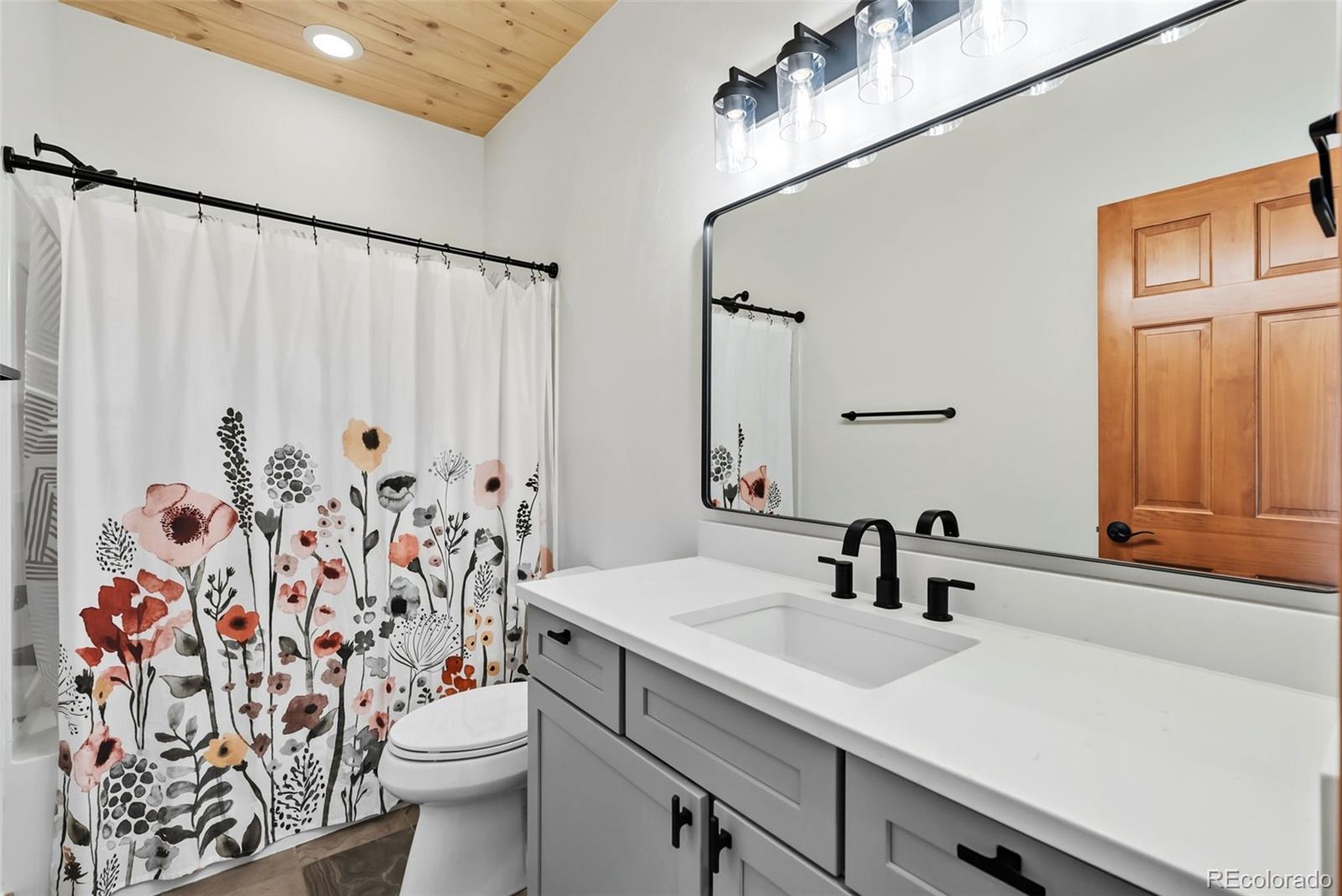 MLS Image #30 for 845  elk run road,silverthorne, Colorado