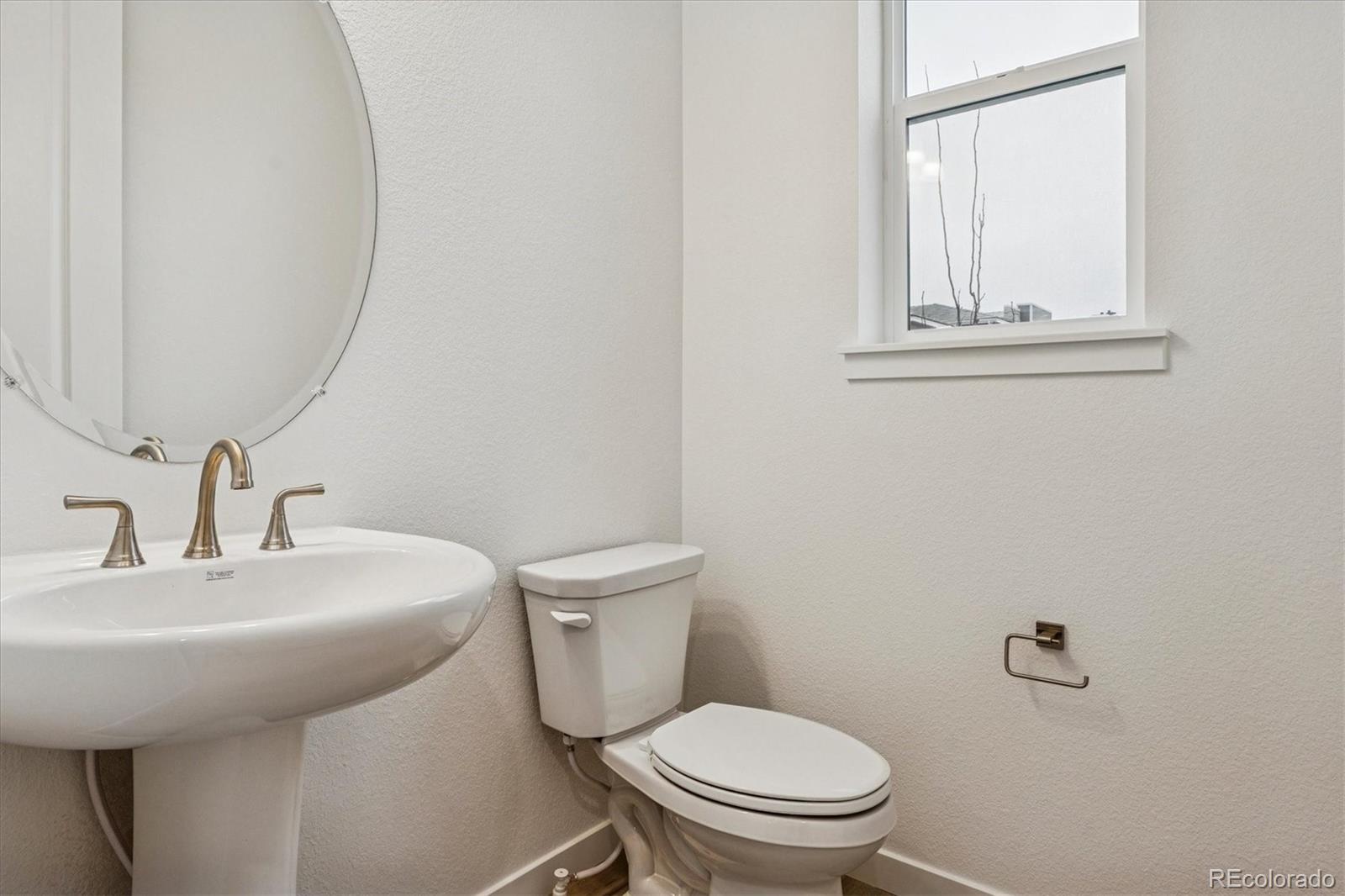 MLS Image #2 for 9124  hayden peak street,englewood, Colorado