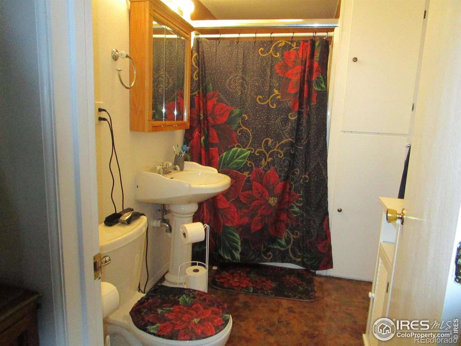 MLS Image #17 for 322  vine street,burlington, Colorado