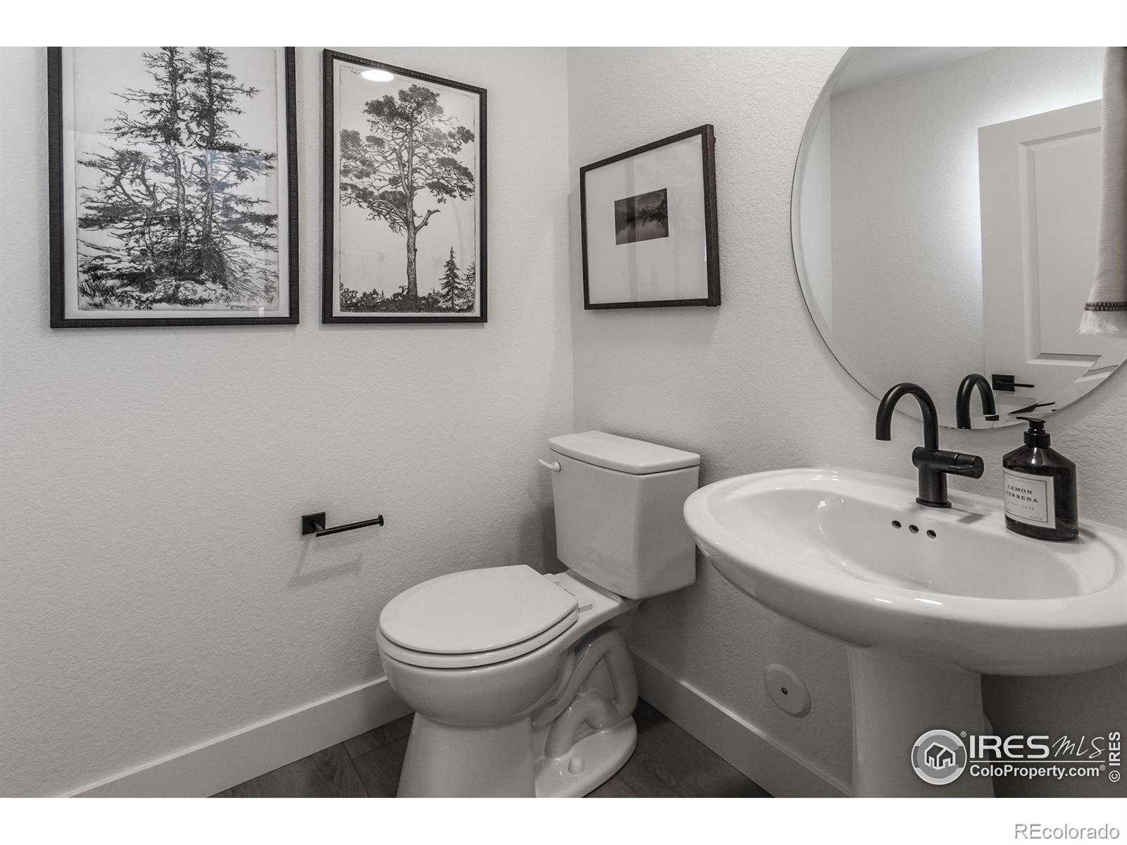 MLS Image #13 for 975  trumpet lane,windsor, Colorado