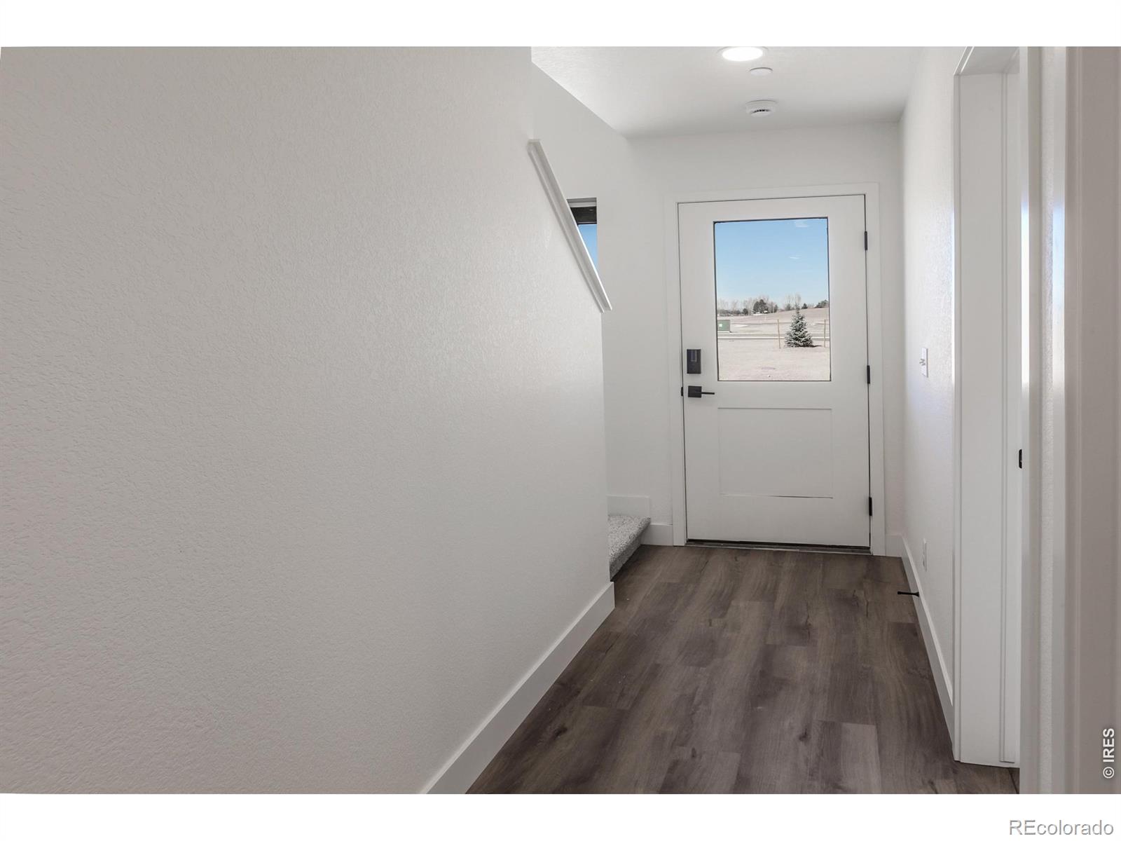 MLS Image #5 for 981  trumpet lane,windsor, Colorado