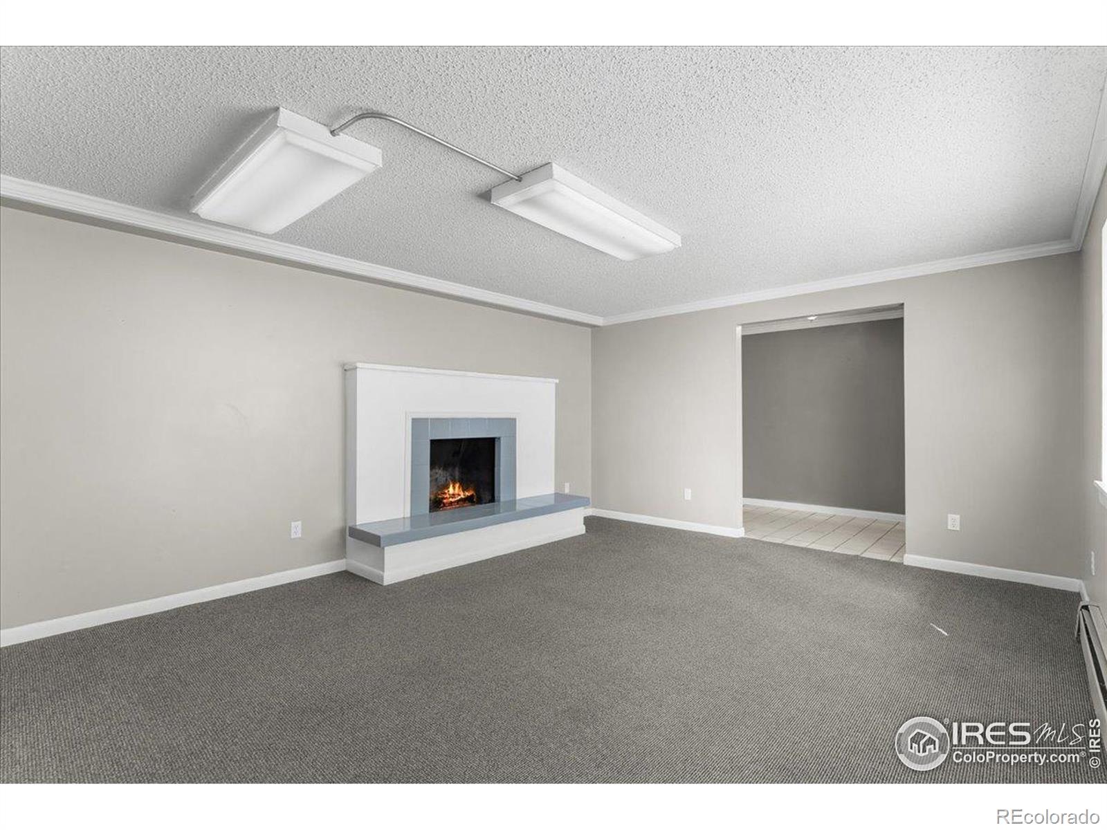 MLS Image #17 for 5724 s college avenue,fort collins, Colorado