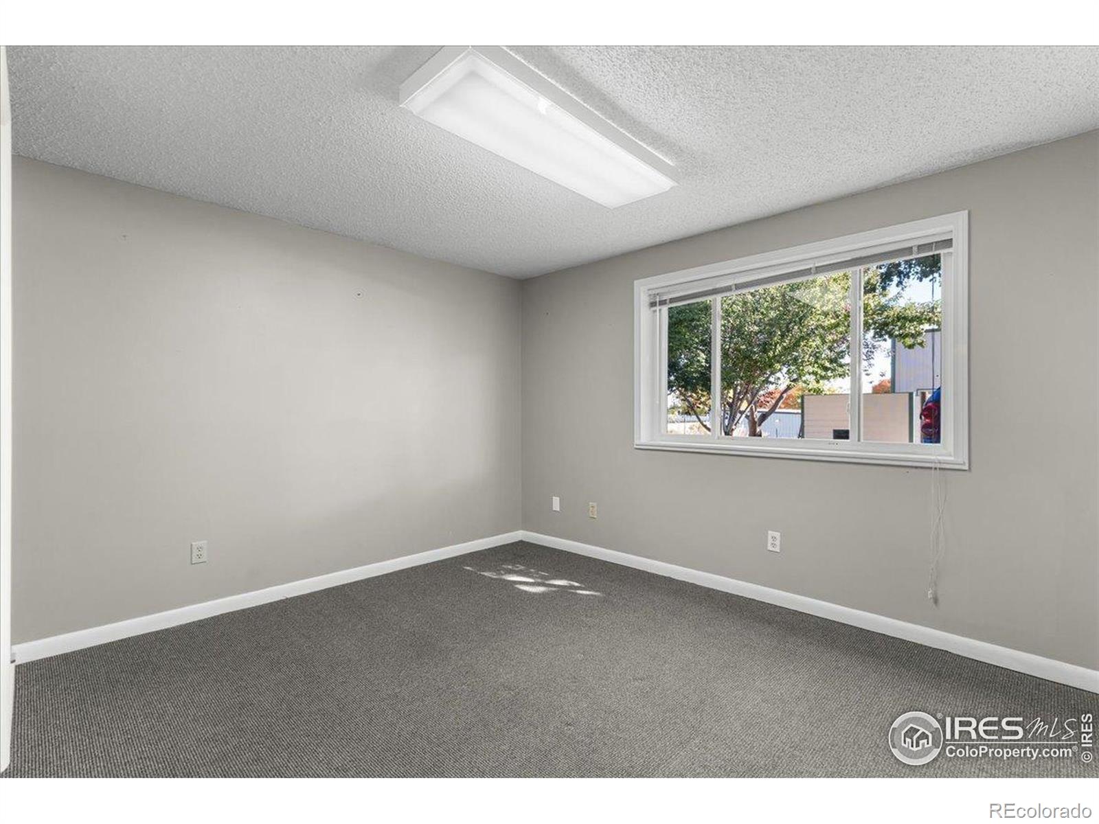 MLS Image #29 for 5724 s college avenue,fort collins, Colorado