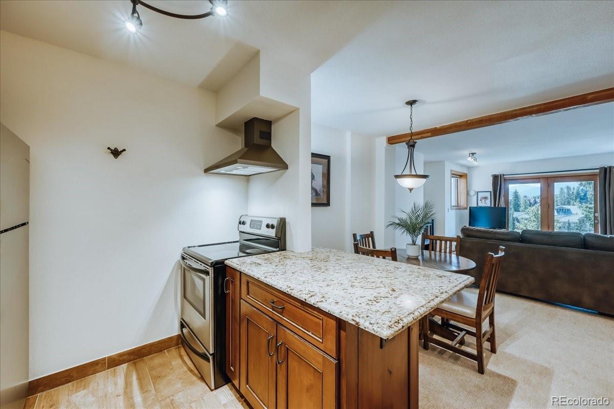 MLS Image #10 for 875  four oclock road,breckenridge, Colorado