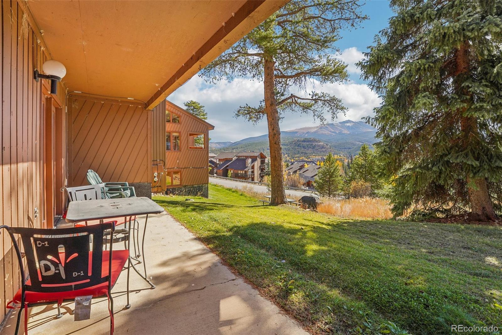 MLS Image #25 for 875  four oclock road,breckenridge, Colorado