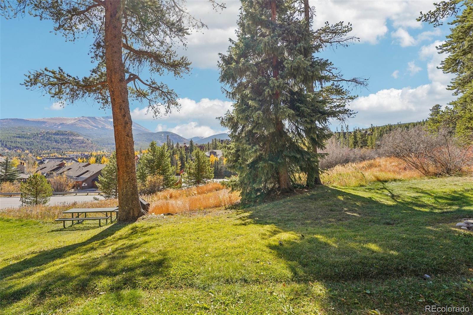 MLS Image #29 for 875  four oclock road,breckenridge, Colorado
