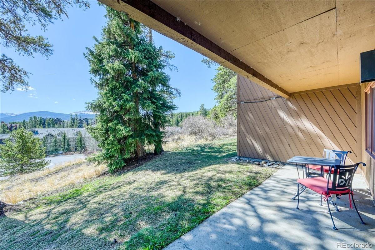 MLS Image #32 for 875  four oclock road,breckenridge, Colorado