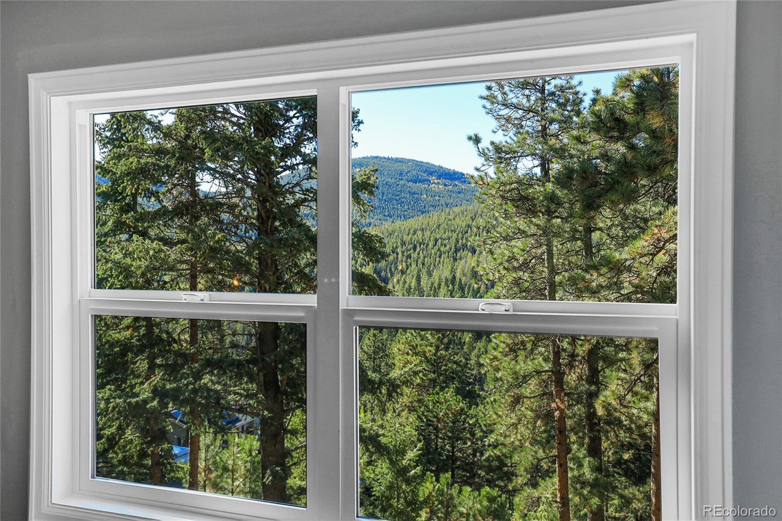 MLS Image #29 for 32857  little cub road,evergreen, Colorado
