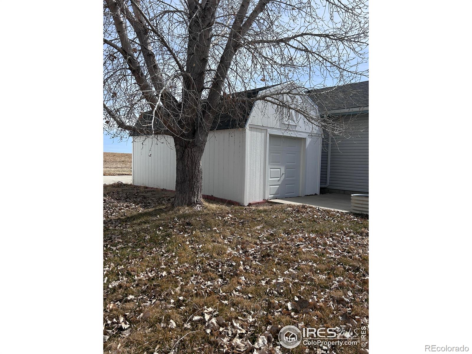MLS Image #17 for 717  3rd avenue,wiggins, Colorado