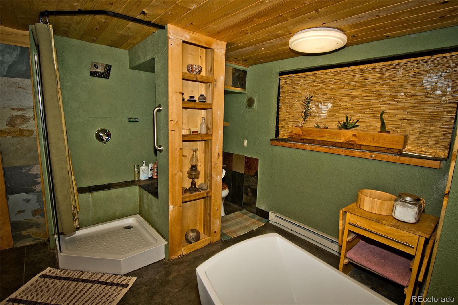 MLS Image #31 for 5 n baca grant way,crestone, Colorado
