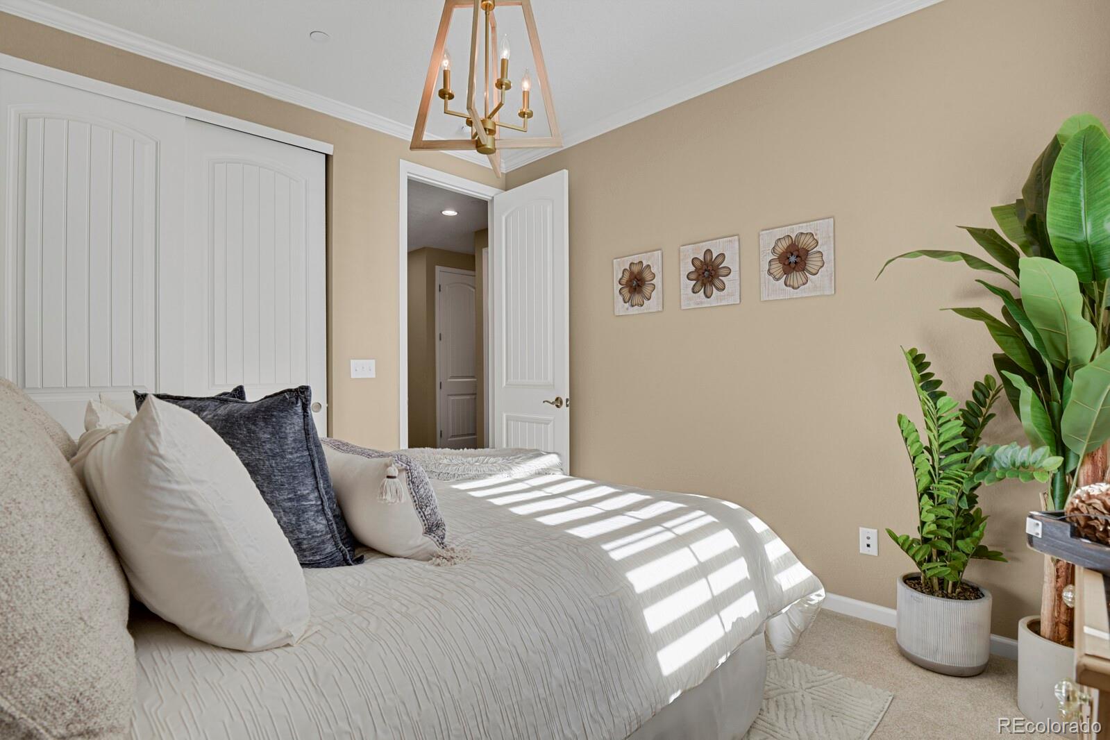 MLS Image #26 for 5074  covelo drive,castle rock, Colorado
