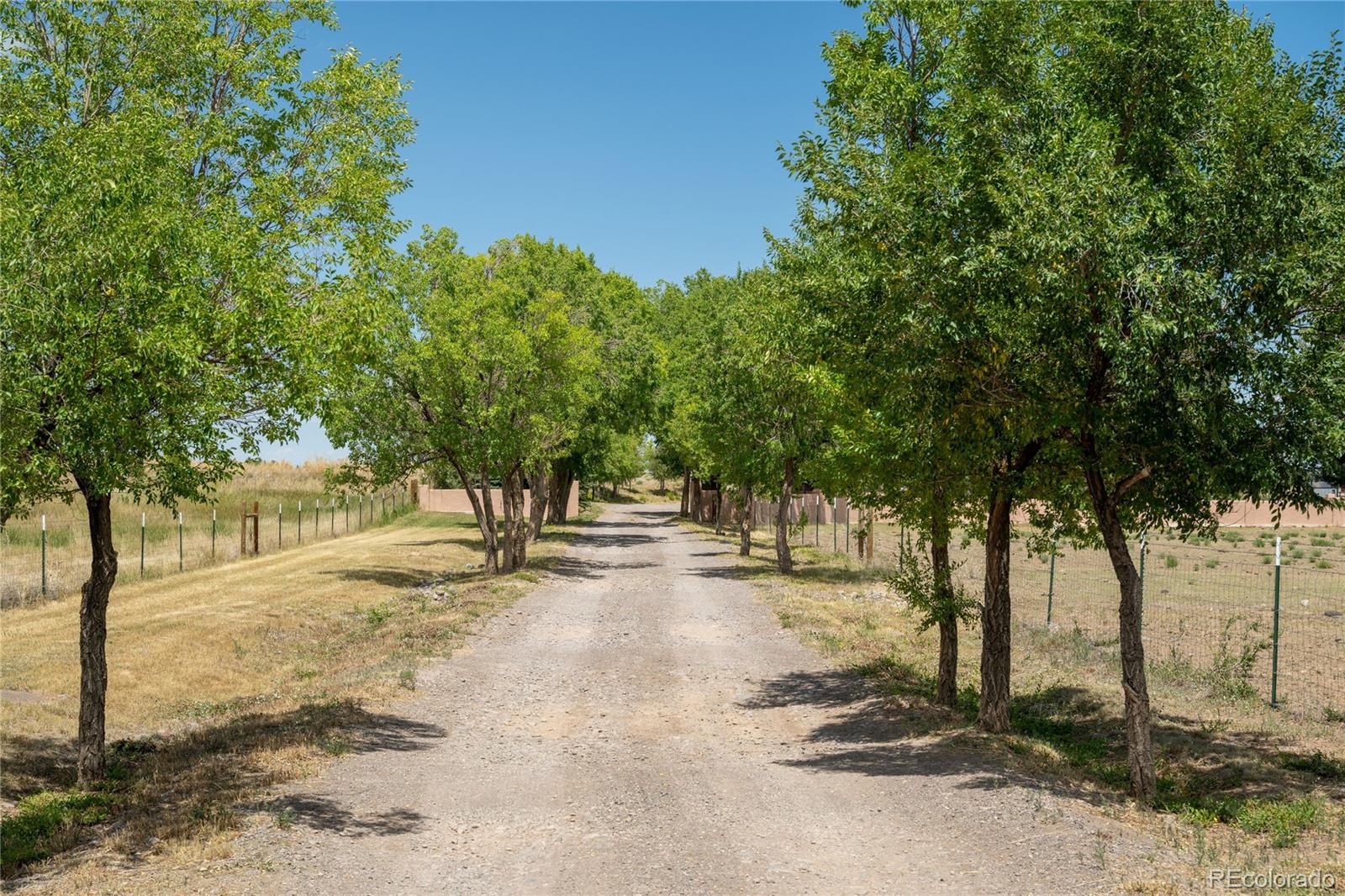 MLS Image #16 for 11743  county road j ,antonito, Colorado