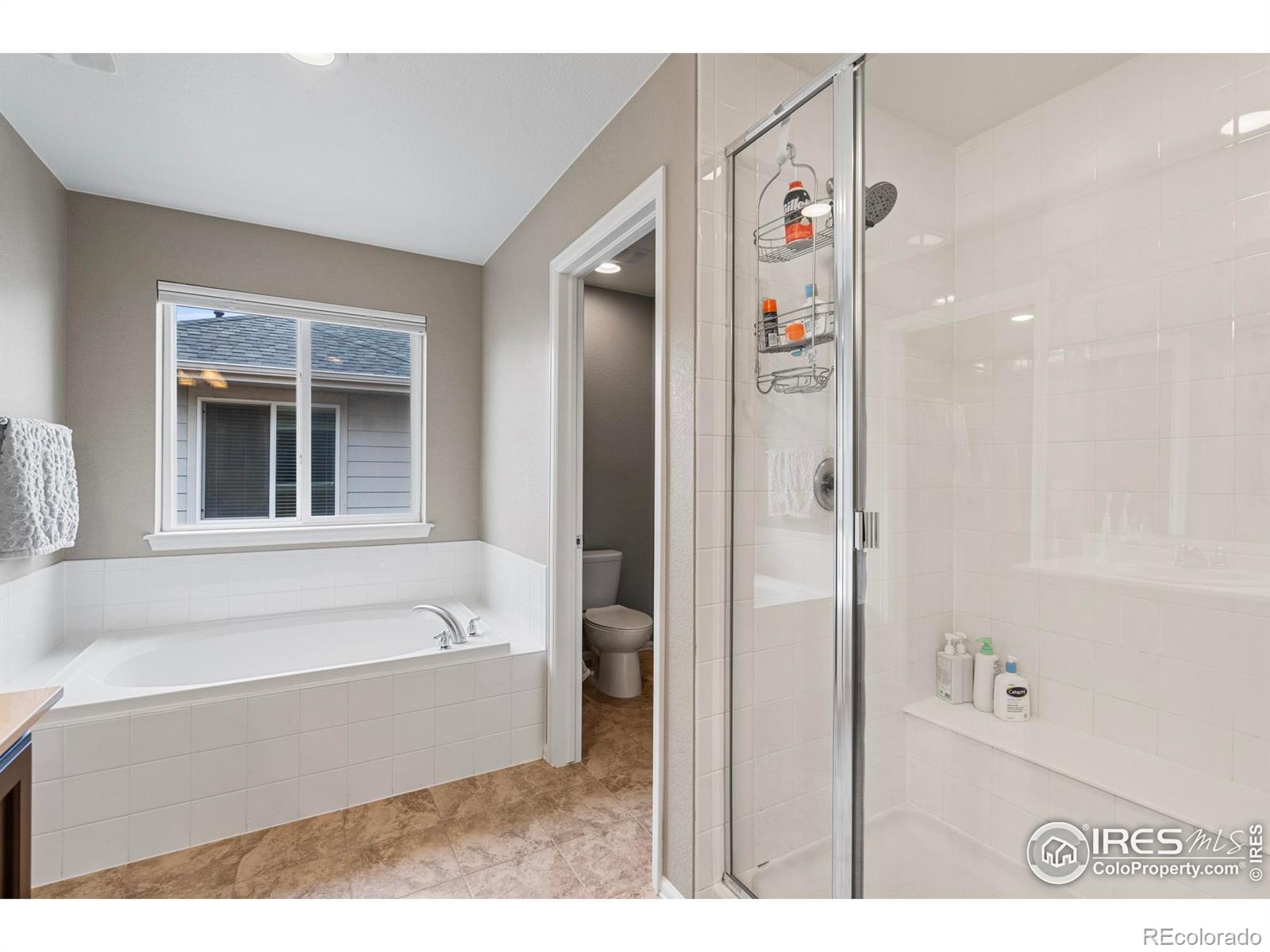 MLS Image #29 for 6054  story road,timnath, Colorado