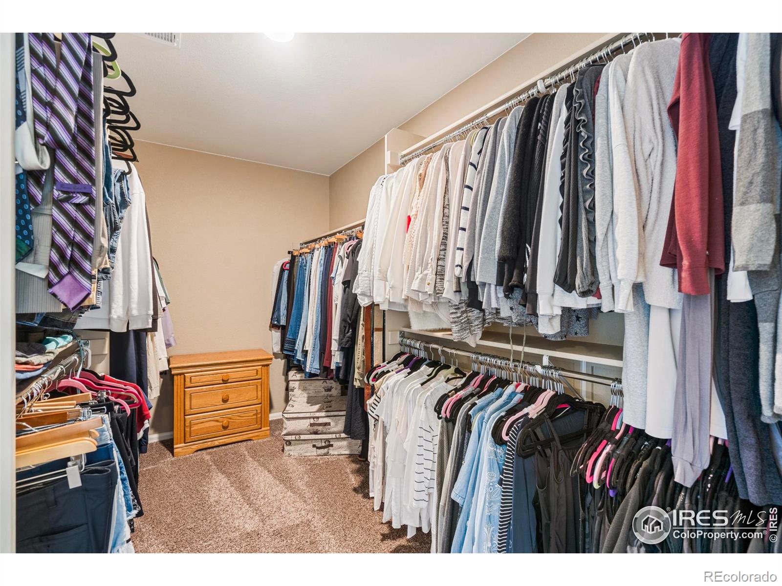 MLS Image #30 for 6054  story road,timnath, Colorado