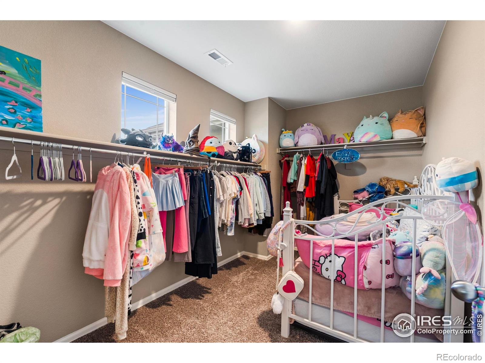 MLS Image #34 for 6054  story road,timnath, Colorado
