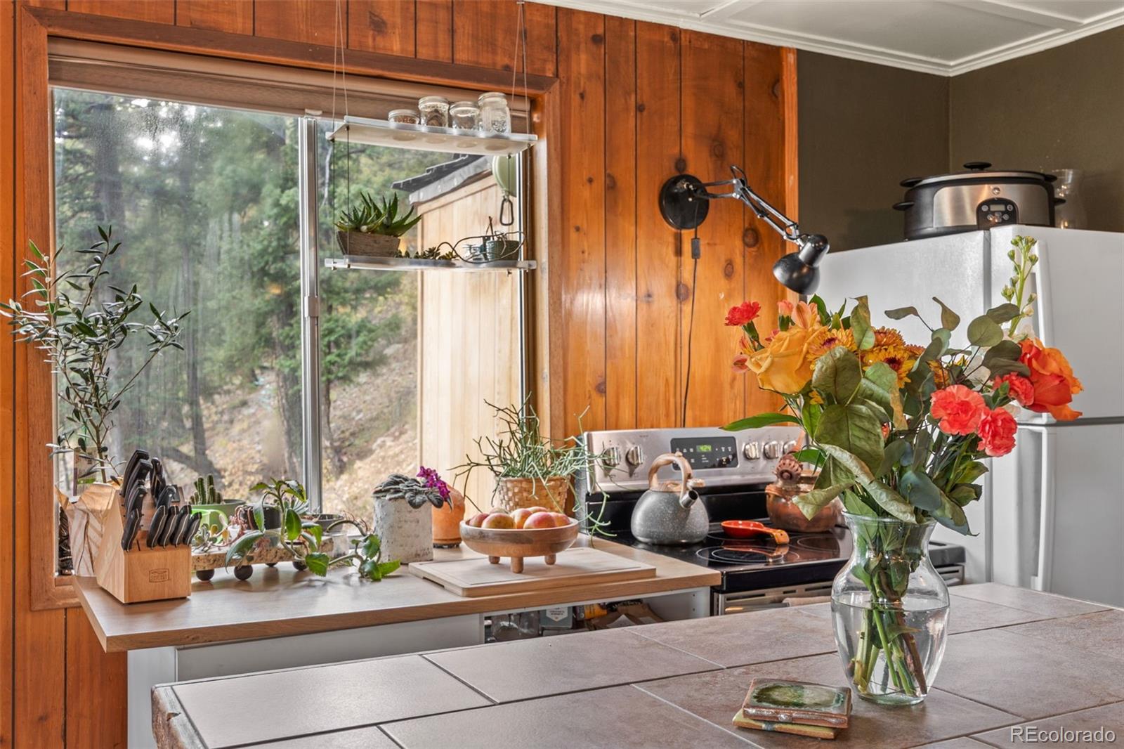 MLS Image #17 for 31327  kings valley ,conifer, Colorado