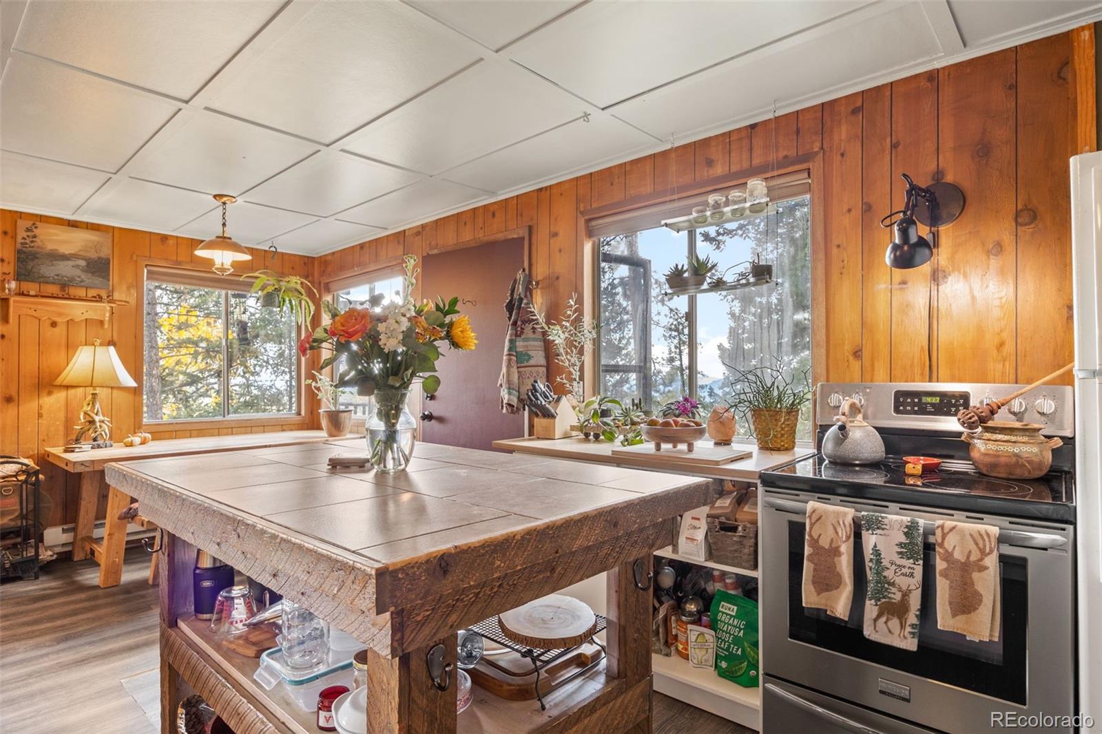 MLS Image #18 for 31327  kings valley ,conifer, Colorado