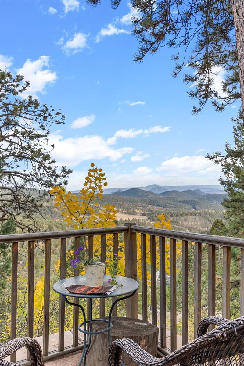 MLS Image #23 for 31327  kings valley ,conifer, Colorado