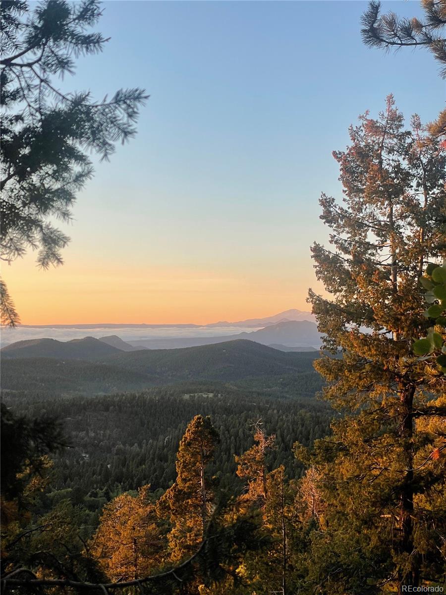 MLS Image #44 for 31327  kings valley ,conifer, Colorado