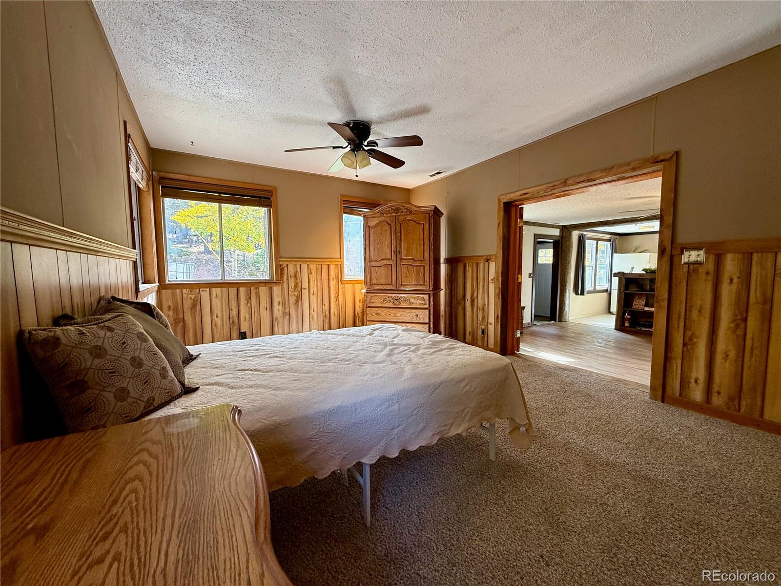 MLS Image #4 for 753  will stutley drive,divide, Colorado