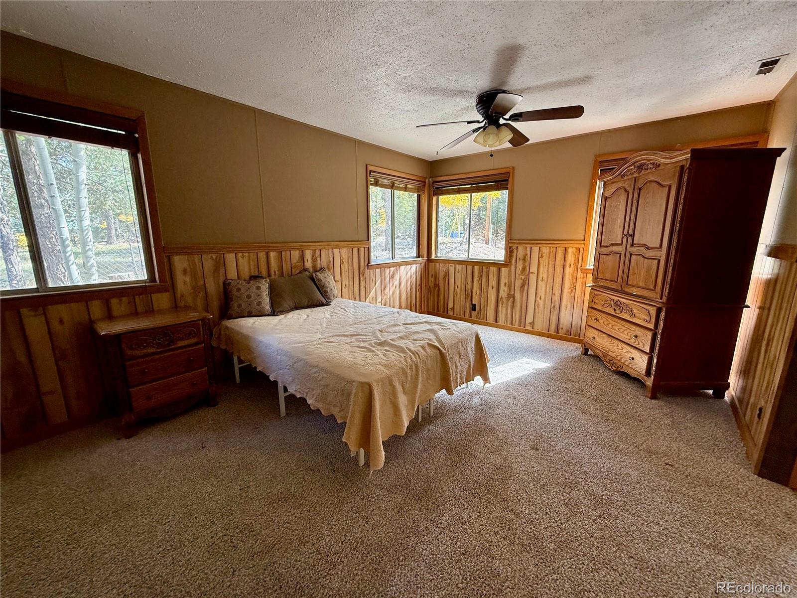 MLS Image #5 for 753  will stutley drive,divide, Colorado