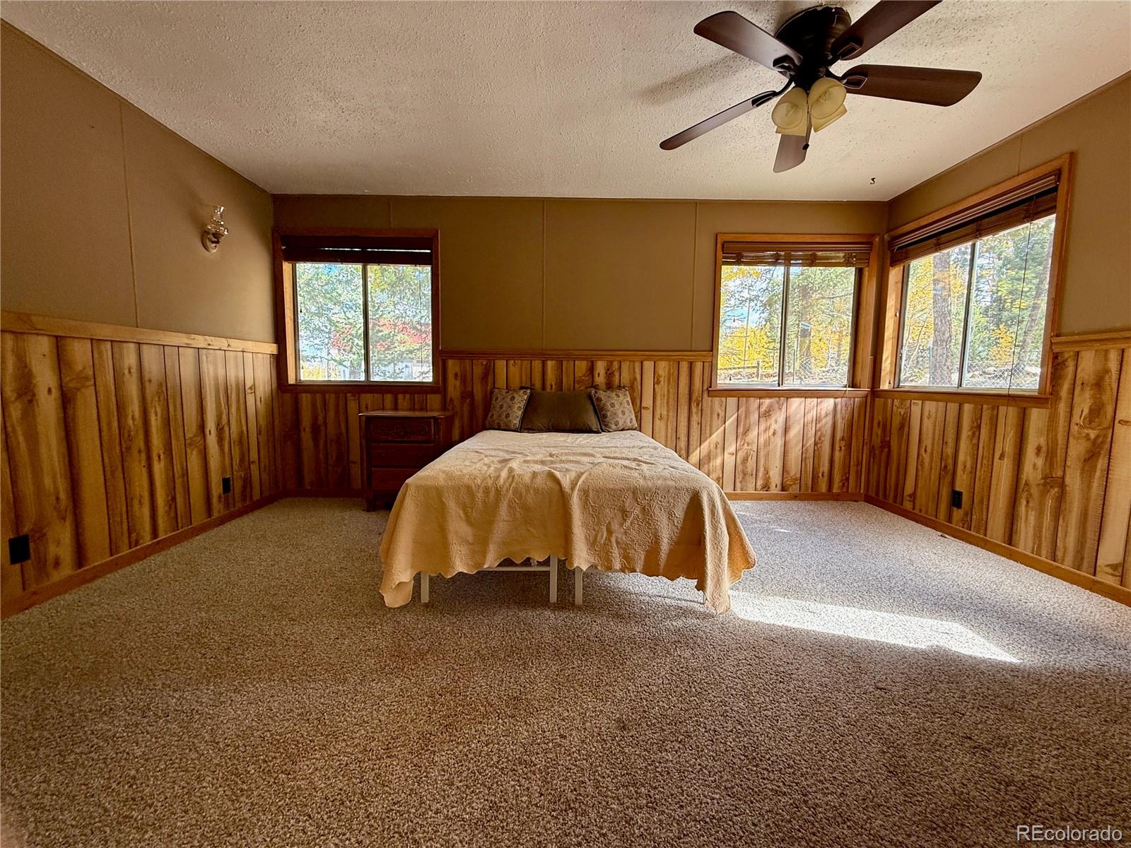 MLS Image #6 for 753  will stutley drive,divide, Colorado