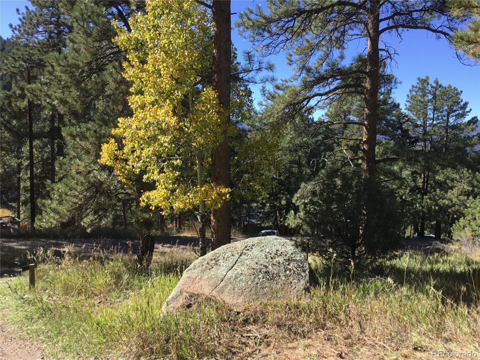 MLS Image #10 for 26130  edelweiss circle,evergreen, Colorado