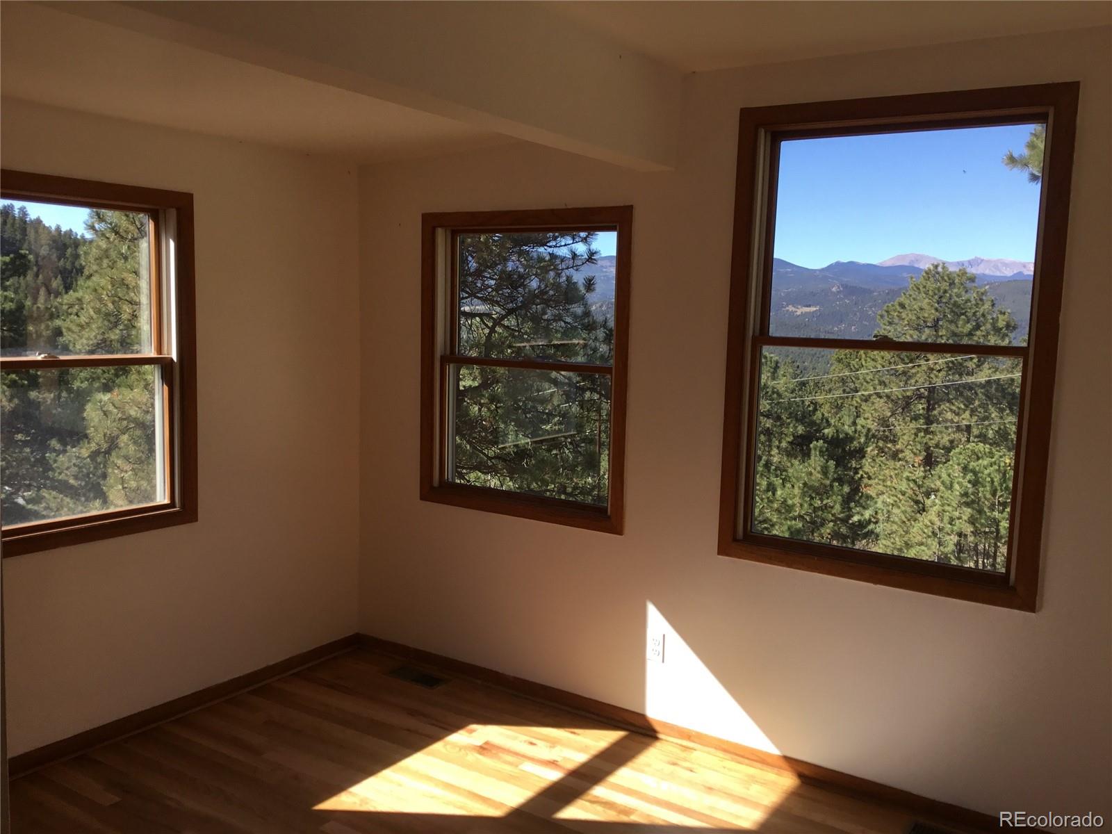 MLS Image #19 for 26130  edelweiss circle,evergreen, Colorado