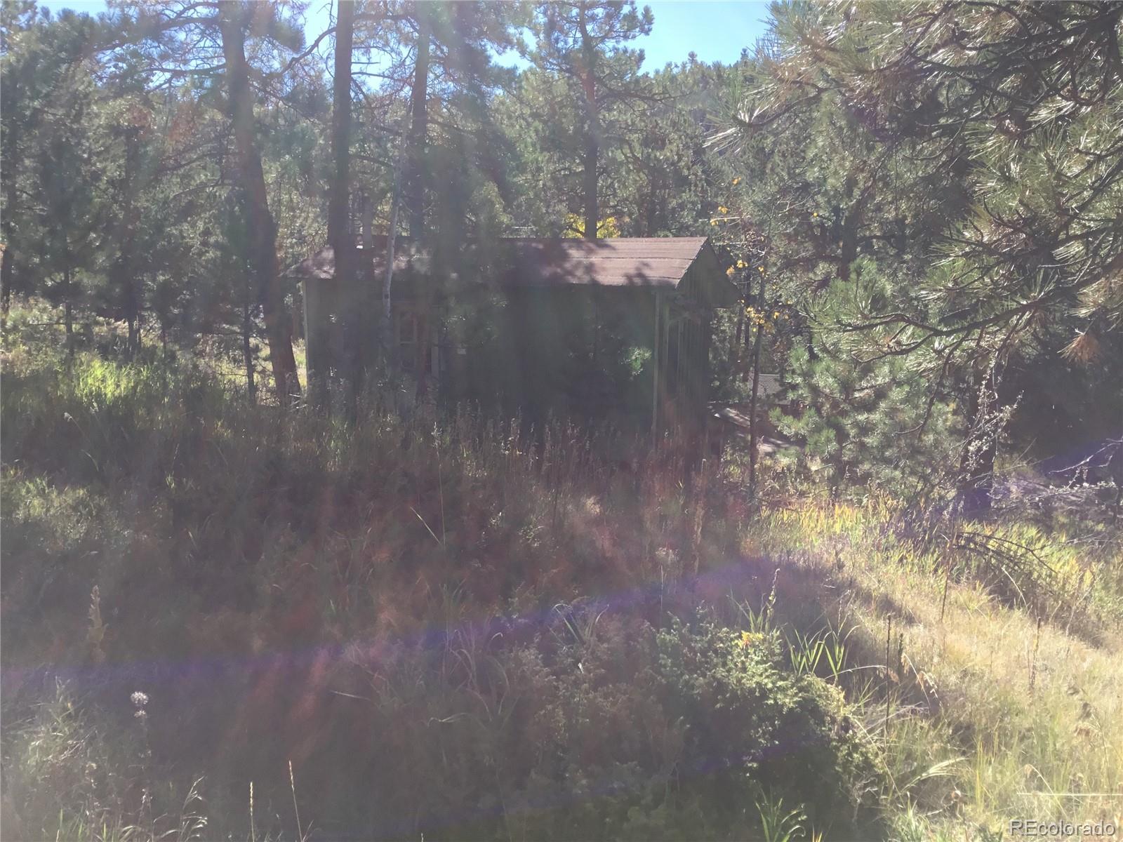 MLS Image #27 for 26130  edelweiss circle,evergreen, Colorado