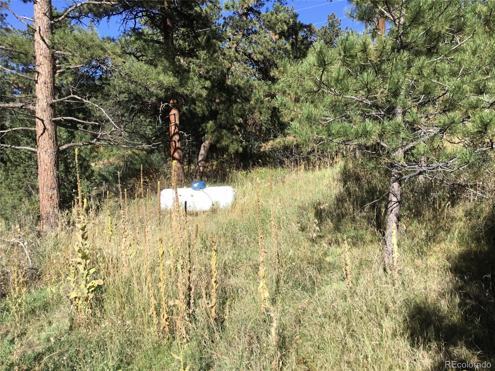 MLS Image #29 for 26130  edelweiss circle,evergreen, Colorado
