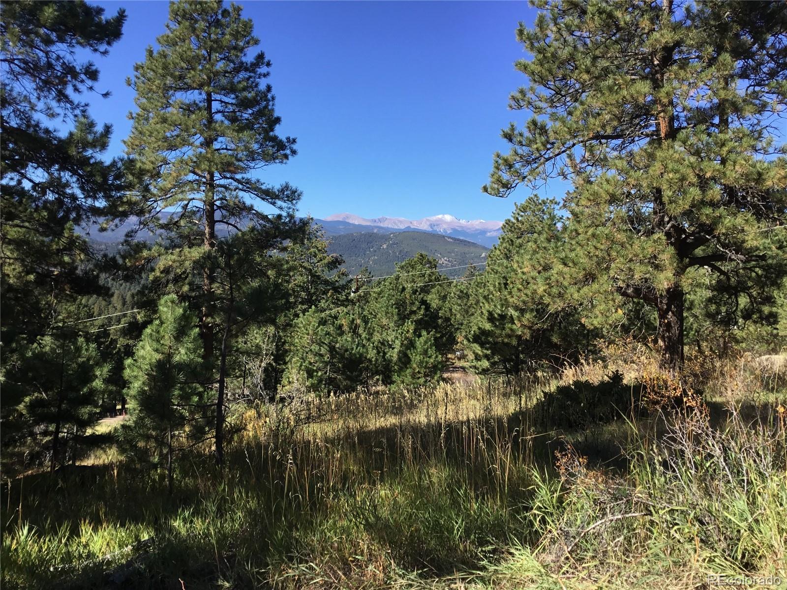 MLS Image #33 for 26130  edelweiss circle,evergreen, Colorado